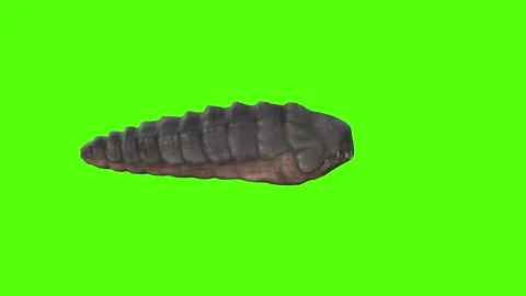 Monster Idle Green Screen Animation 4k Rendering 動画素材 262597568