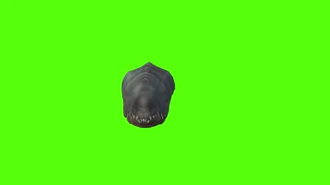 Monster Idle Green Screen Animation 4k Rendering 動画素材 262597569