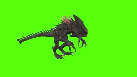 Monster Idle Green Screen Animation 4k Rendering 動画素材 262699489