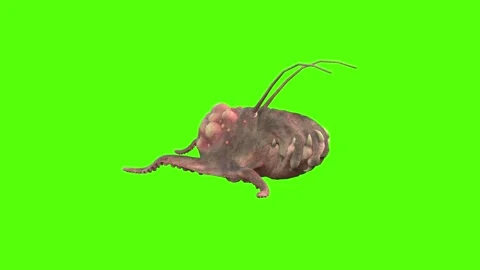 Monster Idle Green Screen Animation 4k Rendering Stock-Footage 267715791