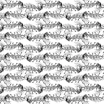 Monster insect drawing motif pattern 스톡 일러스트