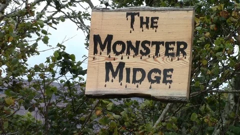 The monster midge in Scotland Video stock 110777791