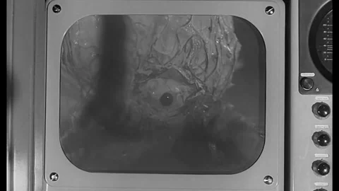 Monster Monitors Stock Footage 345278653