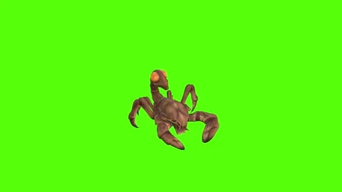 Monster Scorpion Claws Attack Green Screen Animation 4k Rendering Stock Footage 271106616