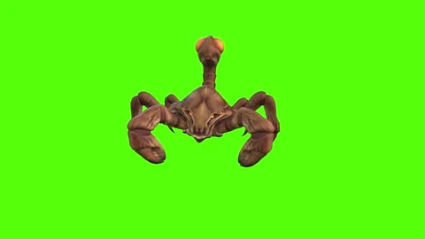 Monster Scorpion Getting hit Back Green Screen Animation 4k Rendering Stock Footage 270390447
