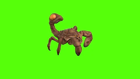 Monster Scorpion Getting hit Back Green Screen Animation 4k Rendering 스톡 동영상 270390448