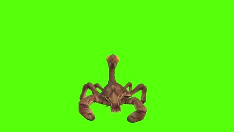 Monster Scorpion Jump Attack Green Screen Animation 4k Rendering Stock Footage 271106624