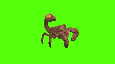 Monster Scorpion Jump Bite Green Screen Animation 4k Rendering 库存影片 271106652