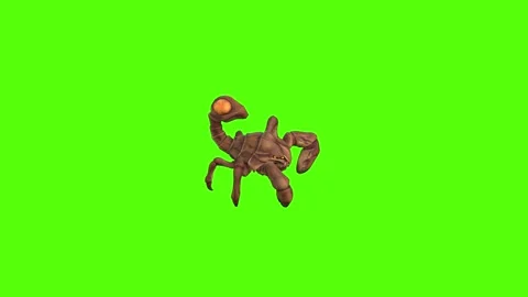 Monster Scorpion Jumping Green Screen Animation 4k Rendering 스톡 동영상 271106596