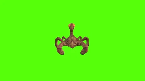 Monster Scorpion Jumping Green Screen Animation 4k Rendering Stock Footage 271106600