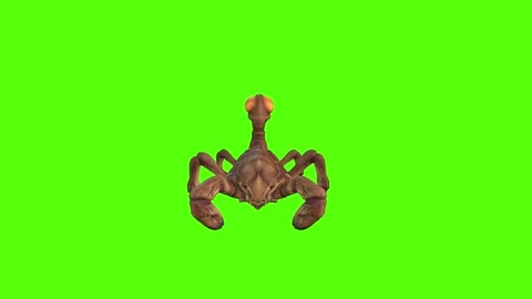 Monster Scorpion Tail Attack Green Screen Animation 4k Rendering 스톡 동영상 271106546