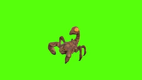 Monster Scorpion Tail Attack Green Screen Animation 4k Rendering Stock Footage 271106566