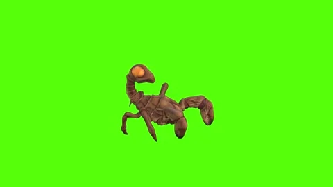 Monster Scorpion Walk Backwards Green Screen Animation 4k Rendering Vídeo Stock 271106507