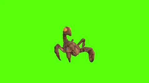 Monster Scorpion Walk Backwards Green Screen Animation 4k Rendering Видео 271106512