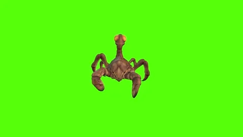 Monster Scorpion Walk Backwards Position Green Screen Animation 4k Renderi Stock Footage 271106483