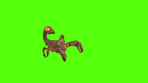 Monster Scorpion Walk Backwards Position Green Screen Animation 4k Rendering Stock Footage 271106492