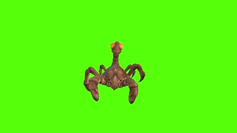 Monster Scorpion Walk Forward Green Screen Animation 4k Rendering Vidéo 271106491