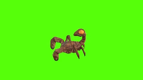 Monster Scorpion Walk Forward Green Screen Animation 4k Rendering Stock-Footage 271106494