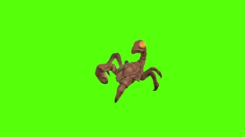 Monster Scorpion Walk Forward Position Green Screen Animation 4k Rendering Stock Footage 271106473
