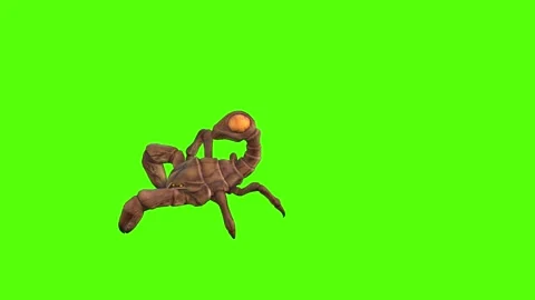 Monster Scorpion Walk Forward Position Green Screen Animation 4k Rendering Stock Footage 271106481