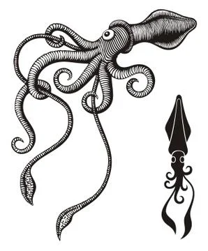 Monster squid Stock Illustration