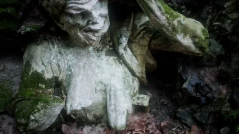 Monster statue in the forest Stock Footage 135929618