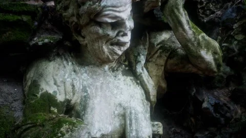Monster statue in the forest Vidéo 139411586