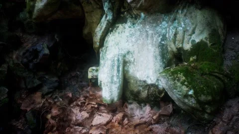 Monster statue in the forest Vidéo 141088952