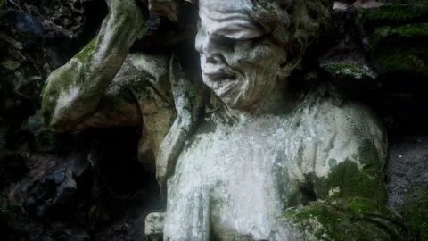Monster statue in the forest Stock Footage 141455246