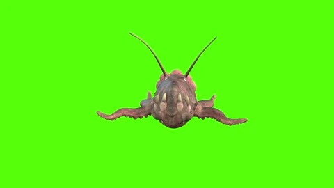 Monster Strafe Left Green Screen Animation 4k Rendering Stock Footage 267715859
