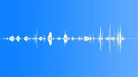 Monster Tasmanian Devil Chewing Sniffing Crunching Eating 02 ~ Clip