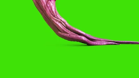 Monster Tentacles Attack Loop Side Green Screen 3D Rendering Animation Stock Footage 148417014