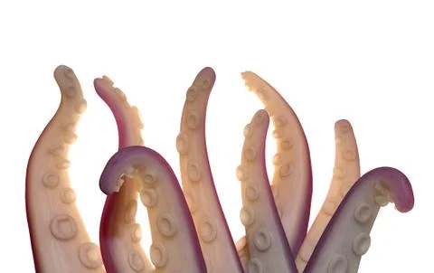 Monster Tentacles isolated Stock Illustration