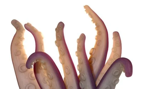 Monster Tentacles isolated Stock Illustration