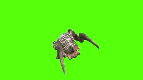 Monster Turn Left Attack Green Screen Animation 4K Rendering Видео 270021443