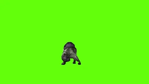 Monster  Wolf attack  green screen animation 3D rendering Stock Footage 297157531