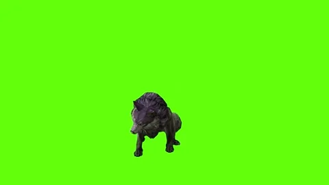 Monster  Wolf attack green screen animation 3D rendering Stock Footage 297157539