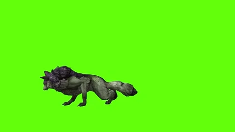 Monster  Wolf attack  green screen animation 3D rendering Stock Footage 297157561