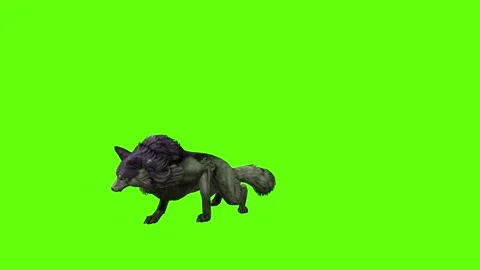 Monster  Wolf attack  green screen animation 3D rendering Stock Footage 297157596