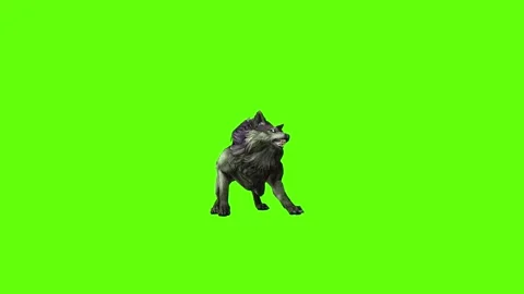 Monster  Wolf bite throw  green screen animation 3D rendering Video stock 297157553