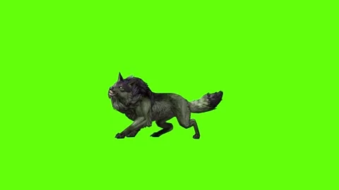 Monster  Wolf bite throw   green screen animation 3D rendering Stock Footage 297157646