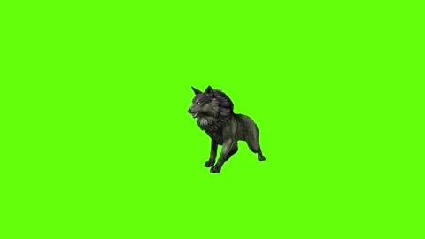 Monster  Wolf death green screen animation 3D rendering Stock Footage 297157587