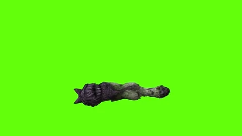 Monster  Wolf down in  green screen animation 3D rendering Stock Footage 297157625