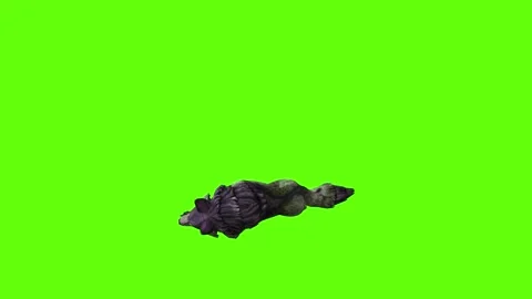Monster  Wolf down in green screen animation 3D rendering Stock Footage 297157637