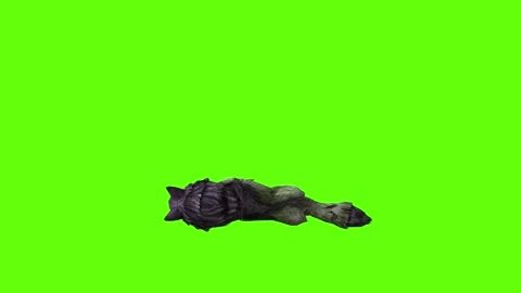 Monster  Wolf down loop green screen animation 3D rendering Stock Footage 297157530