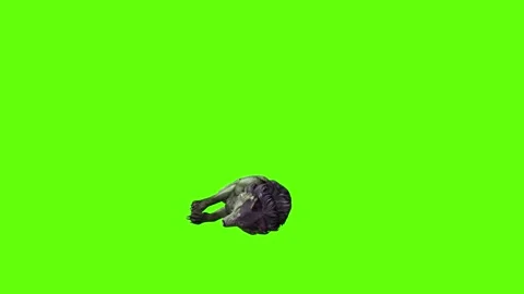 Monster  Wolf down loop green screen animation 3D rendering Stock Footage 297157647
