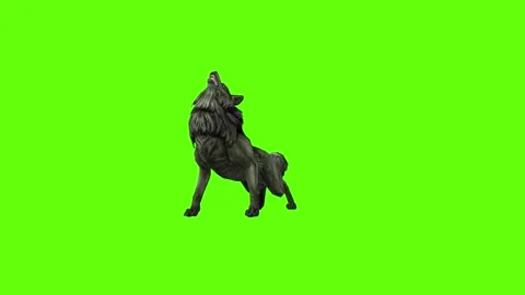 Monster  Wolf howl  green screen animation 3D rendering Stock Footage 297157772