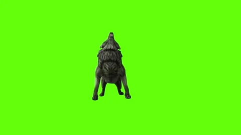 Monster  Wolf howl  green screen animation 3D rendering Stock Footage 297157788