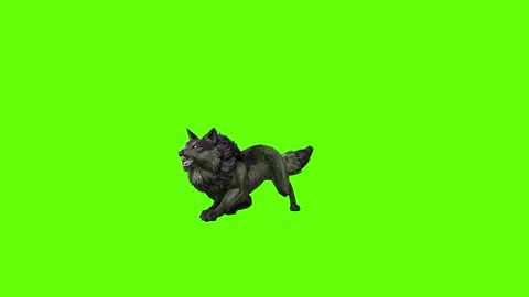 Monster  Wolf jump around green screen animation 3D rendering Stock Footage 297157845