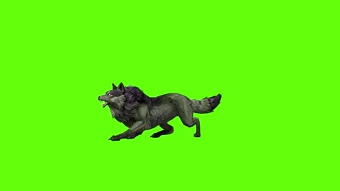 Monster  Wolf jump around  green screen animation 3D rendering Stock Footage 297157867